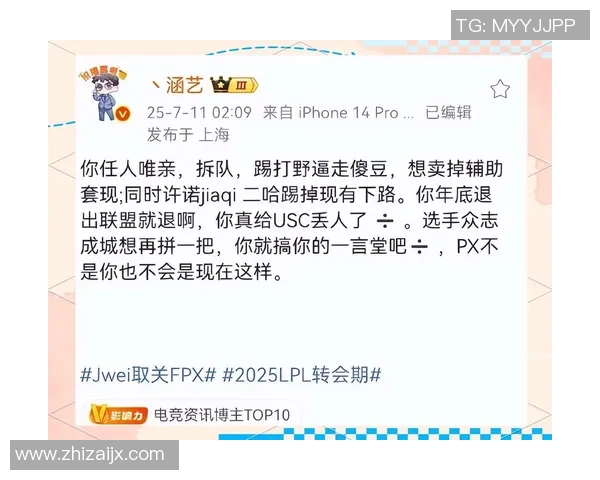 FPX战队团队协作引发热议争议背后的真相与未来展望
